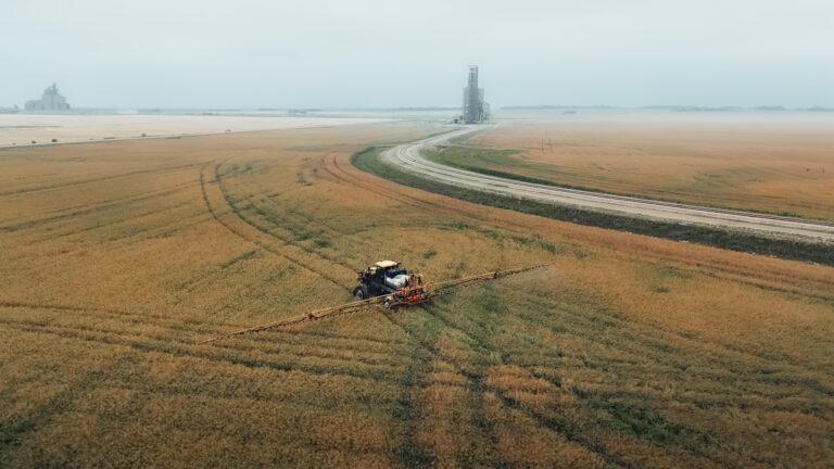 Combining in the alberta plains, Rycroft Ag society