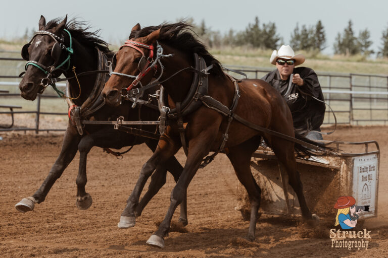 Horse racing, Rycroft Ag Society,